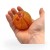 Gniotek Kula Piłka Antystresowa Twarda Squishy Sensoryczna Kolorowa 7cm