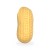 Crunchy Gniotek Orzeszek Chrupiący Zabawka Antystresowa Sensoryczna 12cm